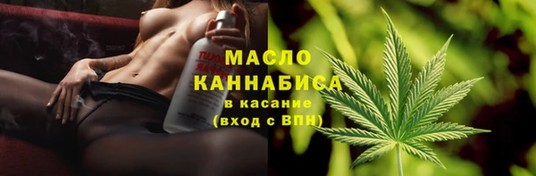 индика Покров