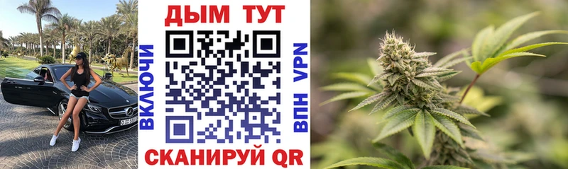 Конопля планчик  Ак-Довурак 